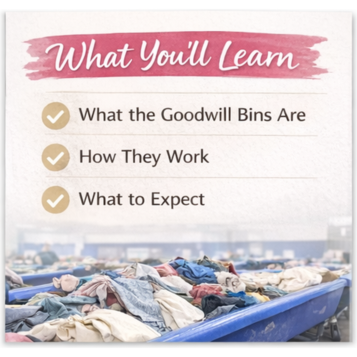 Bin There, Done That: An Introduction to Goodwill’s Famous Blue Bins